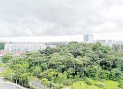 Blk 290G Spring View (Bukit Batok), HDB 4 Rooms #626989751